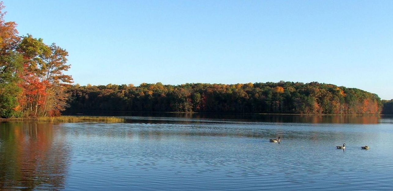 Burke Lake In The Fall