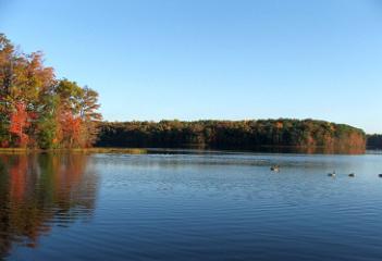 Burke Lake Fall 09 Geese Lg.jpg